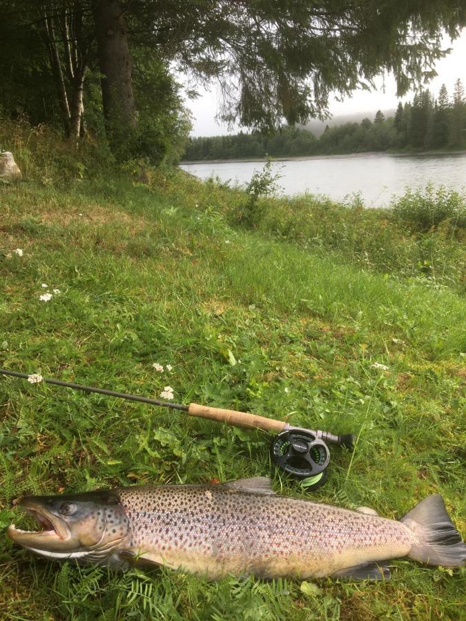 Bakarstuo, Utpa Neset Villa Trofors Kültér fotó